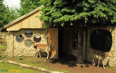 Sanktuarium - Mini ZOO 5