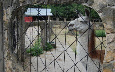 Sanktuarium - Mini ZOO 20