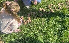 Złote liście i kosze pełne kasztan&oacute;w. Jak przedszkolaki powitały Pierwszy Dzień Jesieni- PSP Chybice 1