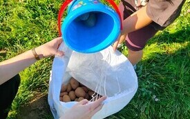 Złote liście i kosze pełne kasztan&oacute;w. Jak przedszkolaki powitały Pierwszy Dzień Jesieni- PSP Chybice 23