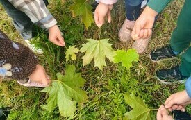 Złote liście i kosze pełne kasztan&oacute;w. Jak przedszkolaki powitały Pierwszy Dzień Jesieni- PSP Chybice 39