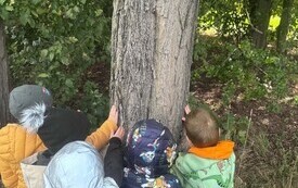  ,, O czym szumią drzewa&rdquo;- obchody Dnia Drzewa w chybickim przedszkolu 4