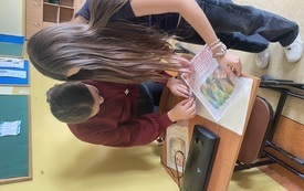IMG_7657.jpeg