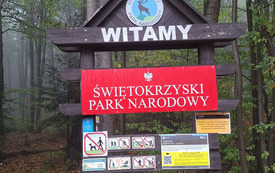 79b76e0f-385c-4ac3-a5ff-137eb23ebe0f_wynik