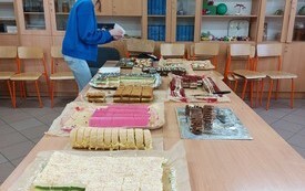 31. Finał WOŚP &ndash; &bdquo;Chcemy wygrać z sepsą! Gramy dla wszystkich - małych i dużych!&rdquo; 7