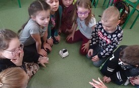 Robot Codey Rocky w klasach I - III 16