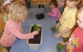 Przedszkolaki witają wiosnę! 17