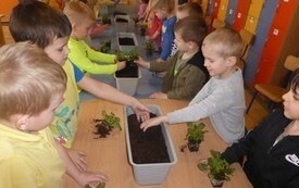 Przedszkolaki witają wiosnę! 20