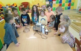 Pieczenie Gofr&oacute;w w Przedszkolu w Radkowicach z wykorzystaniem sprzętu i wyposażenia zakupionego z projektu ,,Laboratoria przyszłości&rdquo;. 11