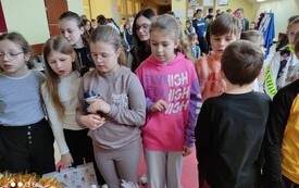 Osiągnięcia uczni&oacute;w w pracy z Programem Insta.Ling dla Szk&oacute;ł 12
