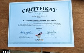 Osiągnięcia uczni&oacute;w w pracy z Programem Insta.Ling dla Szk&oacute;ł 14