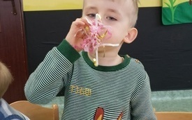 IMG20230412084532