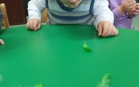 IMG20230412084401