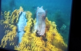 IMG_20230605_105126301