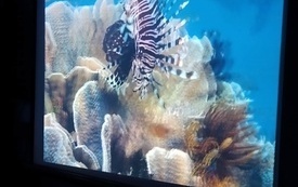 IMG_20230605_102318206