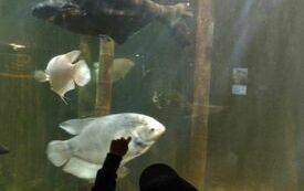 IMG_20230607_101146086