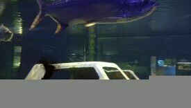 IMG_20230607_095148854