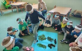 Podsumowanie projektu edukacyjnego &bdquo;Gramy zmysłami&rdquo; - PSP Łomno 30