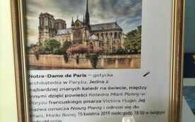 Dni język&oacute;w obcych 7
