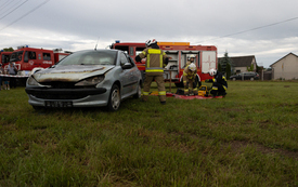 Festyn rodzinny w Tarczku 29