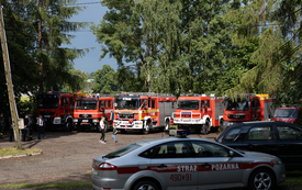 Festyn rodzinny w Tarczku 115