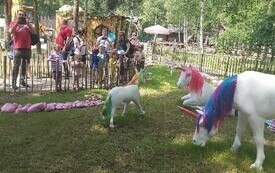 Image00005
