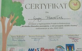 Podsumowanie projektu edukacyjnego &bdquo;Wr&oacute;belka Elemelka poznajemy, z nim przygody dzielić chcemy&rdquo; 1