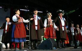 Piknik Wojskowy i Koncert &quot;Polskie drogi ku Niepodległości pod znakiem Krzyża i Orła&quot; 98