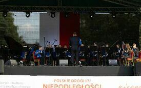 Piknik Wojskowy i Koncert &quot;Polskie drogi ku Niepodległości pod znakiem Krzyża i Orła&quot; 194
