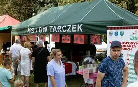 Piknik Wojskowy i Koncert &quot;Polskie drogi ku Niepodległości pod znakiem Krzyża i Orła&quot; 220
