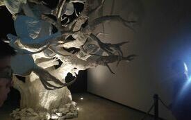 IMG_20230920_102753