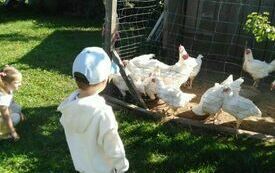 IMG_20230928_101227