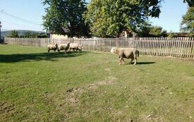 IMG_20230928_095255