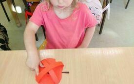 IMG_20231003_123500