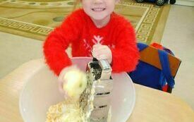 IMG_20231003_091552