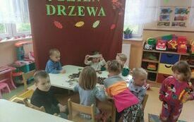 Dzień  Drzewa  1