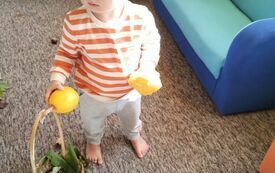 IMG_20231018_112926776