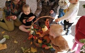 IMG_20231018_112853130