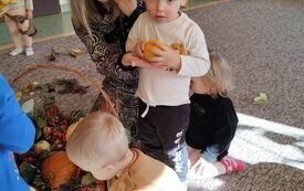 IMG_20231018_112734834
