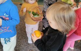 IMG_20231018_112650859