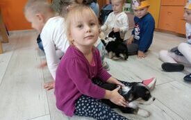 Światowy Dzień Kundelka 6