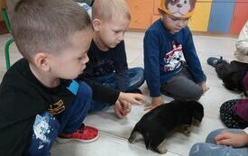 Światowy Dzień Kundelka 9