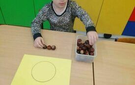 IMG_20231031_102525