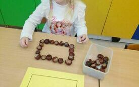 IMG_20231031_102446