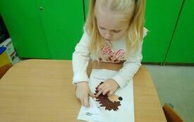 IMG_20231106_104701
