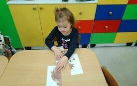 IMG_20231106_100504