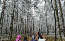 IMG20231118110248