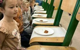 405242954_3643595359253732_8869630819484962142_n