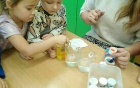 IMG_20231201_104526