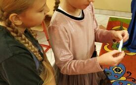 IMG_20231130_095341